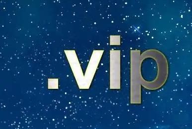 vip 意思|vip是什么意思